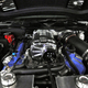 Illustration for article titled Shelby GT500 Super Snake escapes to New York